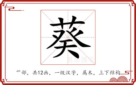 葵 五行|葵的意思，葵字的意思